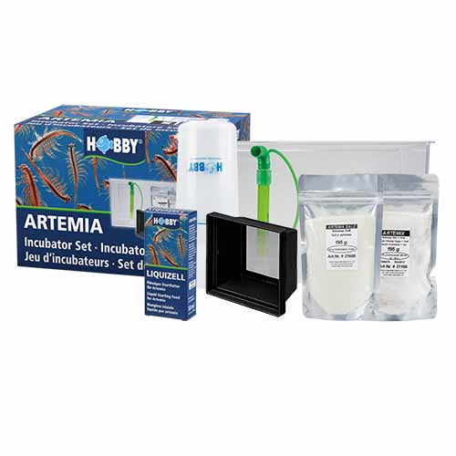 HOBBY ALLEVAMENTO ARTEMIA SALINA