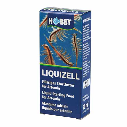 HOBBY ALLEVAMENTO ARTEMIA SALINA
