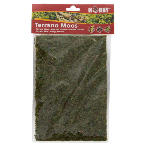 HOBBY MOSS decorazione naturale muschio