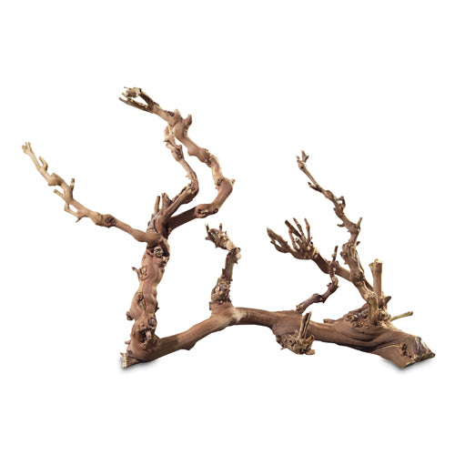 HOBBY GRAPEVINE decorazione naturale ramo di vite