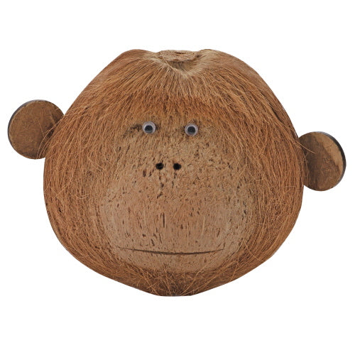 HOBBY COCO MONKEY decorazioni per rettili