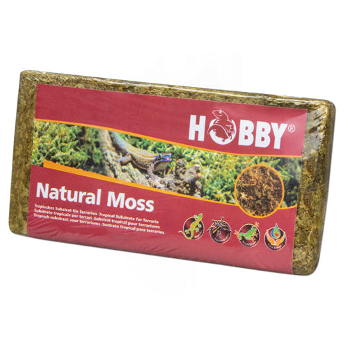 HOBBY MOSS decorazione naturale muschio