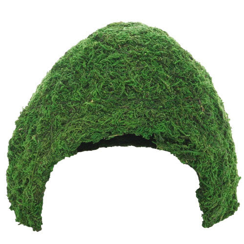 HOBBY JUNGLE CAVE tane con muschio per rettili