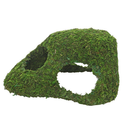 HOBBY JUNGLE CAVE tane con muschio per rettili