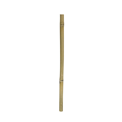 HOBBY BAMBOO STIX rami di bamboo decorazioni naturali