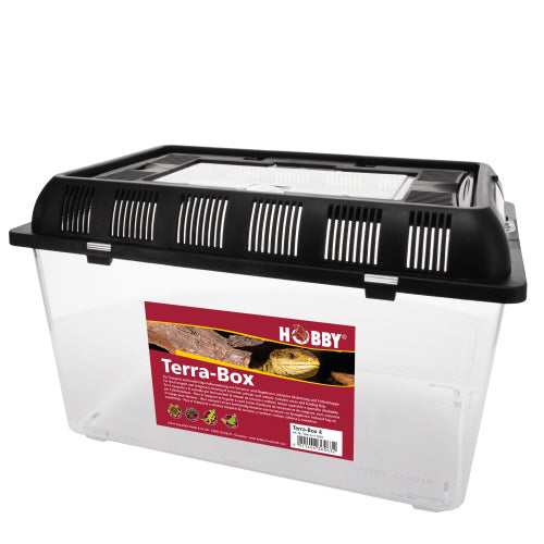 HOBBY TERRA BOX vaschette plastica