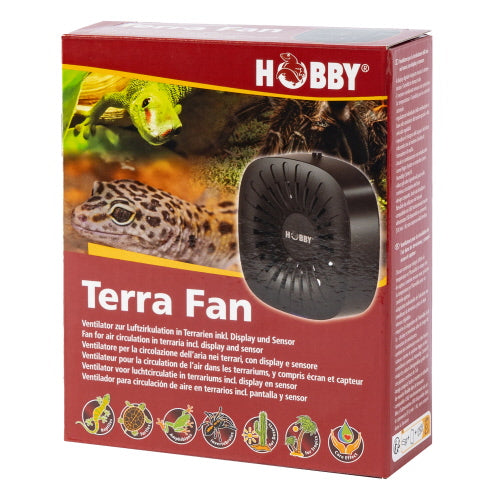 HOBBY TERRA FUN