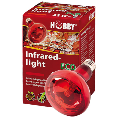 HOBBY INFRARED lampadina riscaldante per rettili notturni