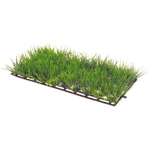 HOBBY PLANT MAT e PAD piante su praticello