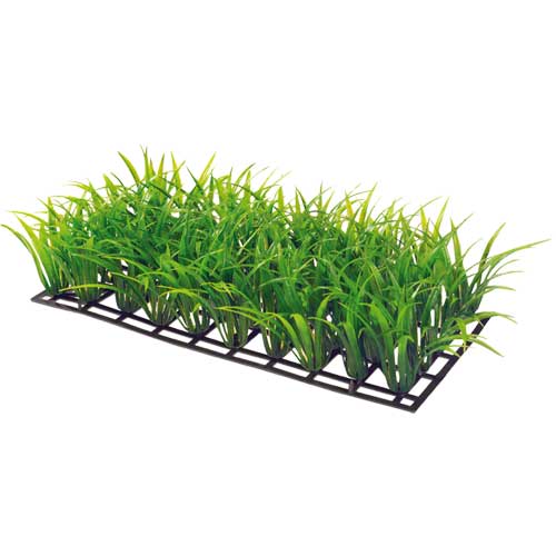 HOBBY PLANT MAT e PAD piante su praticello