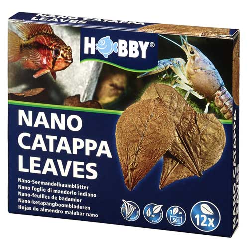 HOBBY CATAPPA