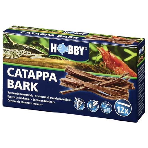 HOBBY CATAPPA