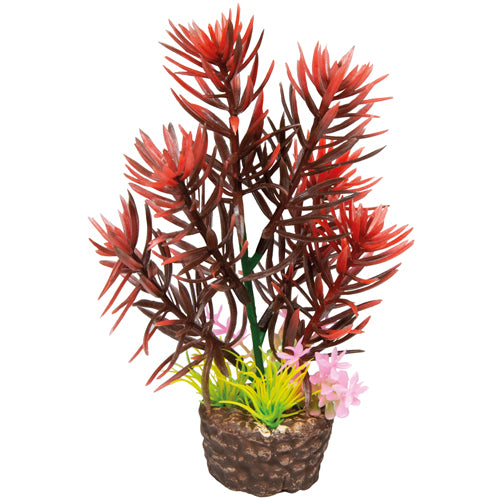 HOBBY FLORA STONE piante su pietra