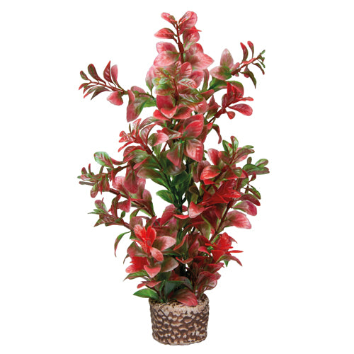 HOBBY FLORA STONE piante su pietra