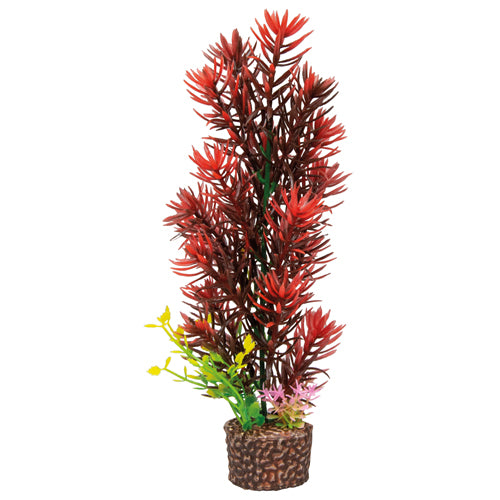 HOBBY FLORA STONE piante su pietra