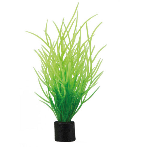 HOBBY MINI PLANT piante in plastica mini