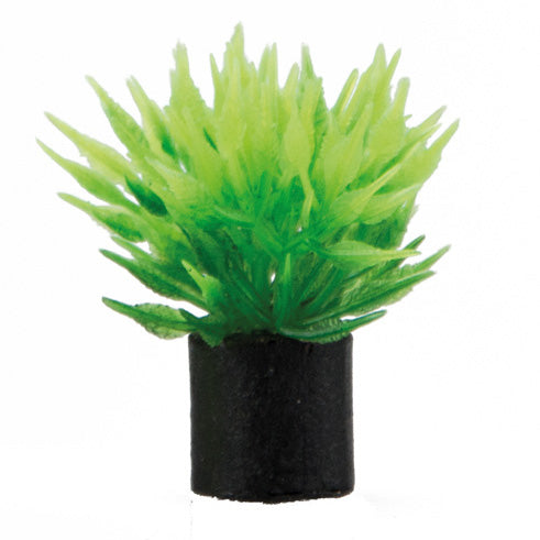 HOBBY MINI PLANT piante in plastica mini
