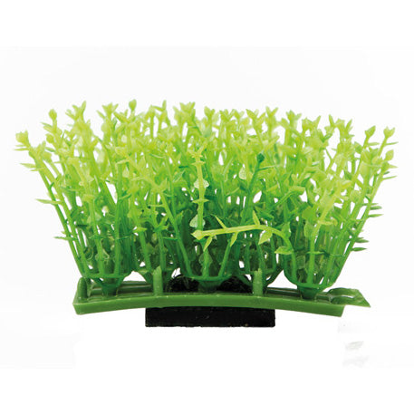 HOBBY PLANT MAT e PAD piante su praticello
