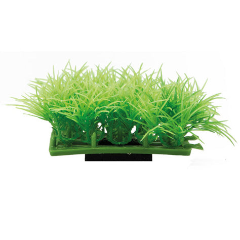 HOBBY PLANT MAT e PAD piante su praticello