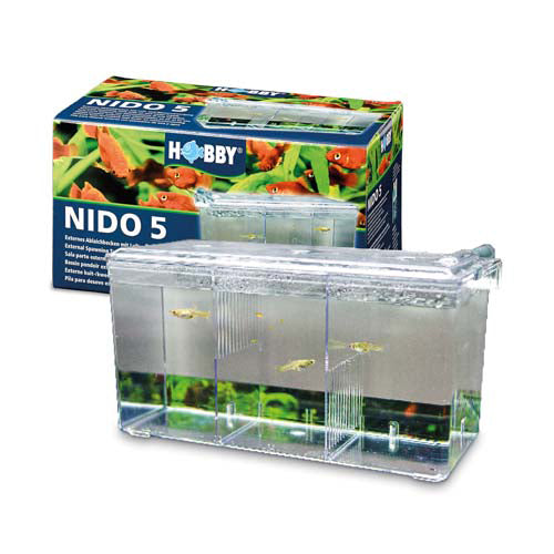 HOBBY NIDO PARTO