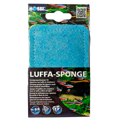 HOBBY spugne anti alghe per pulire i vetri