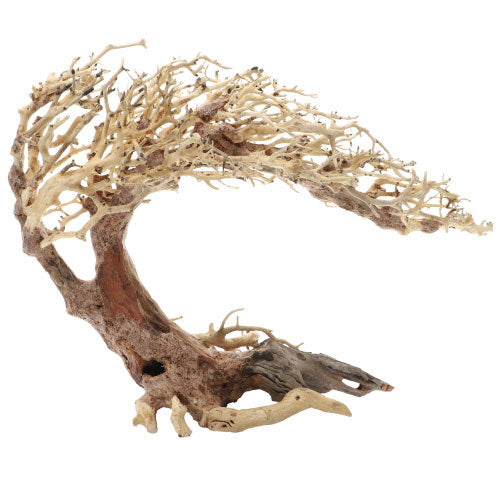 DUPLA BONSAI decorazioni in legno