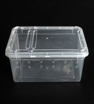 SPIDER BOX contenitori insetti