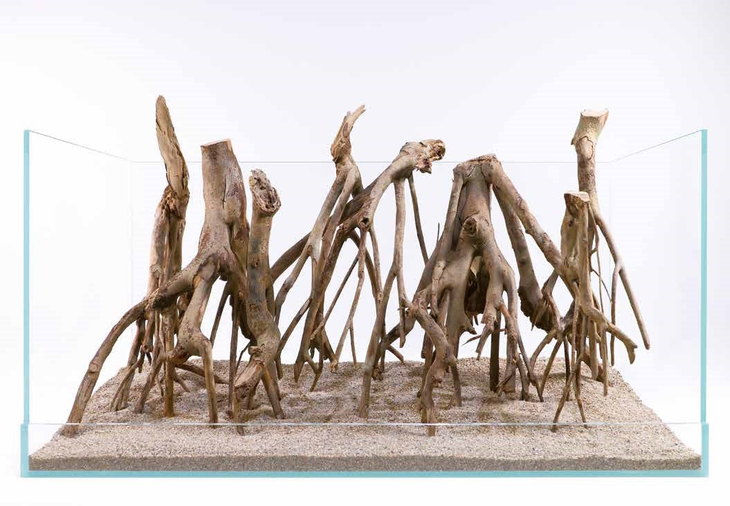 ABA HARDSCAPE LEGNI E RADICI NATURALI con barcode singolo