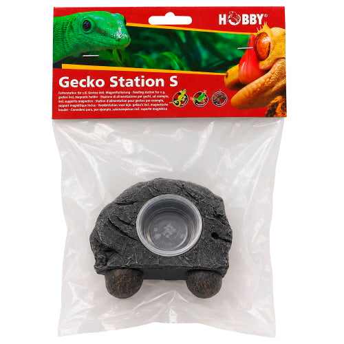 HOBBY GECKO STATION