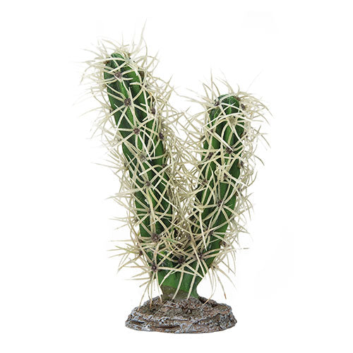 HOBBY CACTUS per terrari