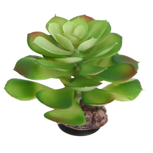 HOBBY Piante in plastica per terrari