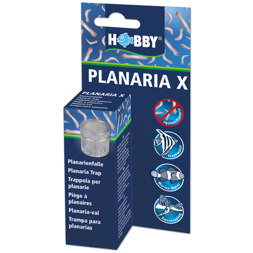 HOBBY PLANARIA X trappola per planaria