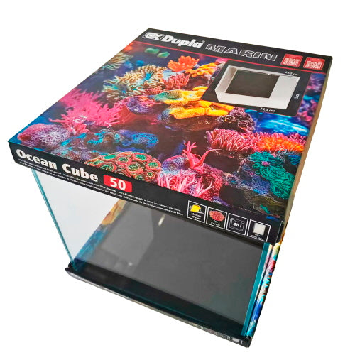 DUPLA OCEAN CUBE