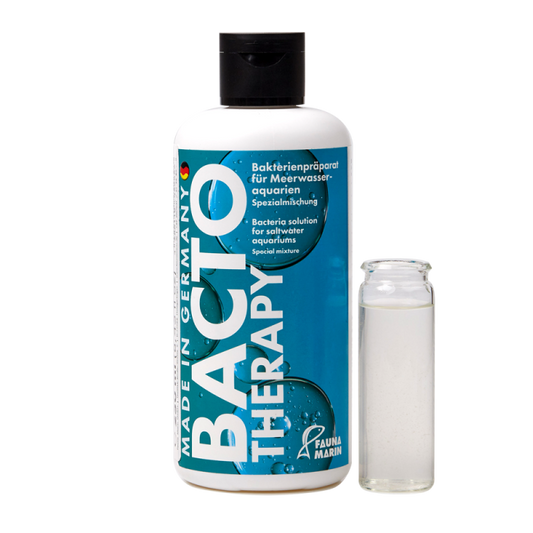 FAUNA MARIN BACTO THERAPY batteri eterotrofi