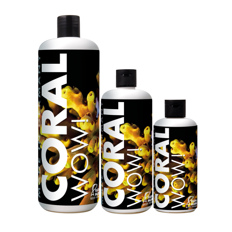 FAUNA MARIN CORAL WOW!