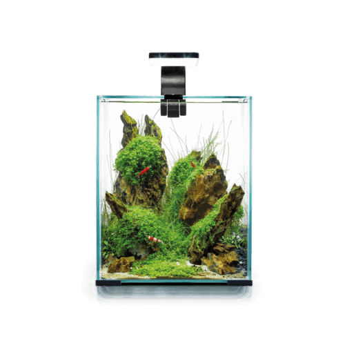 AQUAEL ACQUARIO SHRIMP SET D&N